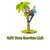 Photo for SJV Tree Service LLC