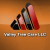 Photo for Valley Tree Care LLC