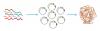 Photo for cDNA Library