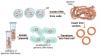 Photo for Genomic Library