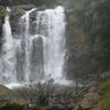 Photo for Homestay In Chikmagalur