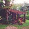 Photo for Enjoy life in the Atlantic Rain Forest
