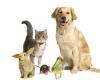 Photo for River Road Animal Hospital