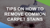 Photo for Common Stain Removal Tips for Your Carpets
