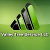 Photo for Valley Tree Service LLC