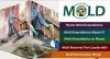 Photo for Mold Removal in Miami | Mold Remediation Miami