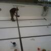 Photo for Bella Pools and Backyards