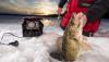 Photo for Fishing Tips: How to Catch Bass
