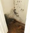 Photo for Total Restoration Conroe