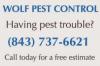 Photo for Wolf Pest Control