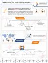 Photo for Molecular Spectroscopy Market Research Report, 2019-2024