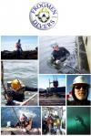 Photo for Frogmen Divers & Marine Service