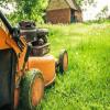 Photo for Removing Those Stubborn Garden Weeds and Other Great Gardening Tips | MURRAY LAWN AND LANDSCAPE