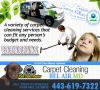 Photo for Carpet Cleaning Bel Air MD