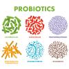 Photo for Probiotics Market Size, Share, and Industry Analysis 2018-2025