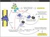 Photo for Nanomaterial Synthesis