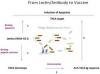 Photo for Nanomaterials Characterization