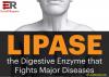 Photo for Lipase Enzyme Market by Production, Capacity Utilization Rate, Ex-Factory Price, Revenue By Forecast 2023