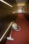 Photo for M & M Carpet Cleaning