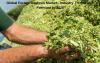 Photo for Global Forage Analysis Market Analysis and Forecasts 2018-2025 Market Research report