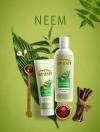 Photo for Select the Best Hair Shampoo