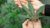 Photo for TruMed Dispensary