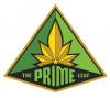 Photo for The Prime Leaf