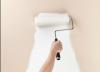 Photo for Mold Killing Primer Winnipeg