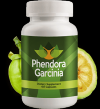 Photo for https://www.supplementcyclopedia.com/phendora-france-fr/