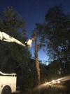 Photo for Mel's Firewood & Tree Service