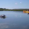 Photo for Kayak Amelia