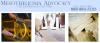 Photo for Richardson, Patrick, Westbrook & Brickman, LLC