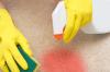 Photo for Elite Cleaning & Property Care LLC