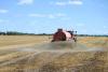Photo for Fertilizer Market To Manufacture Fertilizers From Sewage and Manure