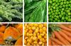 Photo for Lutein Market Size, Share, Outlook, and Opportunity Analysis, 2018 – 2025