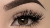 Photo for Lash Bar Astoria