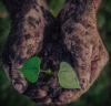 Photo for Abcut Tree Service, Inc.
