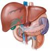 Photo for Liver Diseases Therapeutics Market is Expected to Reach USD 10.9 Billion Globally in 2018: Transparency Market Research