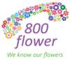 Photo for 800 Flower