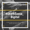 Photo for SharkSense Digital: Media Buying Services in India