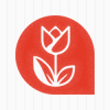 Photo for Tulip Cleaning Services