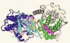 Photo for Cyclin-Dependent Kinase Inhibitors Therapeutics Analysis, Clinical Trials and Developments