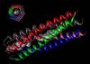 Photo for Smart Polymers Market Key Players, Analysis 2018-2025