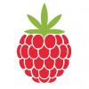 Photo for Raspberry Roots