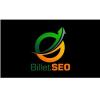Photo for Billet SEO