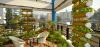 Photo for Buy Organic Farming Solutions in Noida