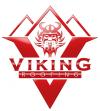 Photo for VIKING ROOFING