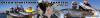 Photo for Ocean Sportfishing Westport (360) 268-1000