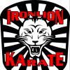 Photo for Iron Lion Karate