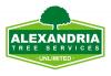 Photo for Alexandria Trees & Stumps
